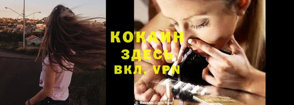 стафф Арсеньев