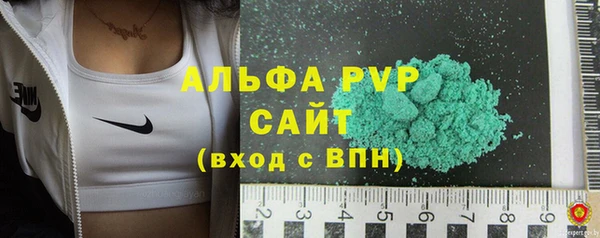 стафф Арсеньев