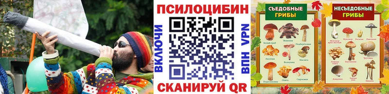 Галлюциногенные грибы Psilocybe  Вязники 